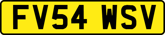 FV54WSV
