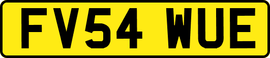 FV54WUE