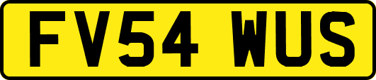 FV54WUS