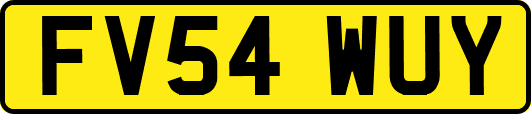 FV54WUY