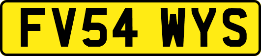 FV54WYS
