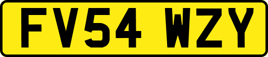 FV54WZY