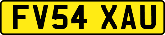 FV54XAU