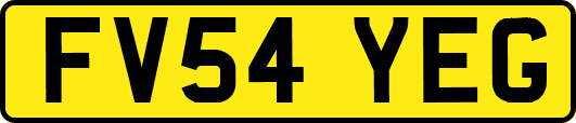 FV54YEG