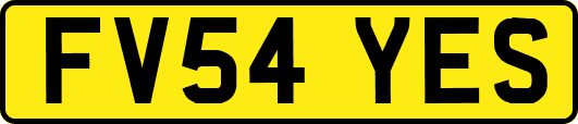 FV54YES