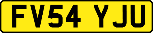 FV54YJU