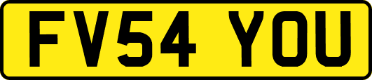 FV54YOU