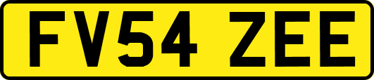 FV54ZEE