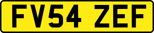 FV54ZEF