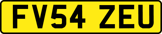 FV54ZEU