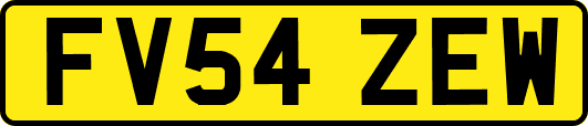 FV54ZEW