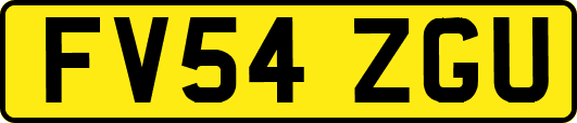 FV54ZGU