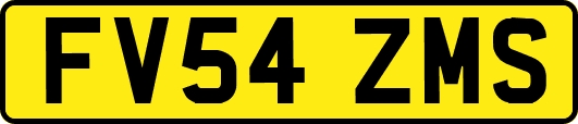 FV54ZMS
