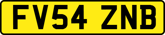 FV54ZNB