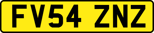 FV54ZNZ
