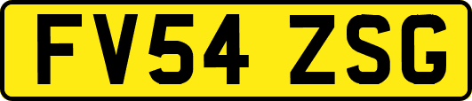 FV54ZSG