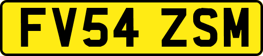 FV54ZSM
