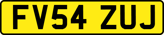 FV54ZUJ