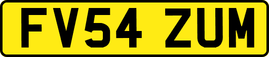 FV54ZUM