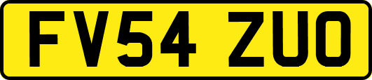 FV54ZUO