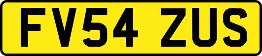 FV54ZUS