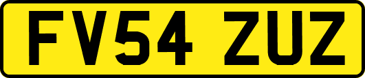 FV54ZUZ