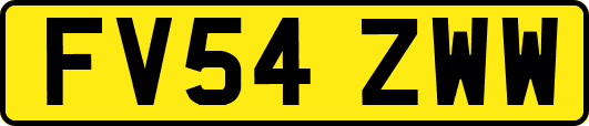 FV54ZWW