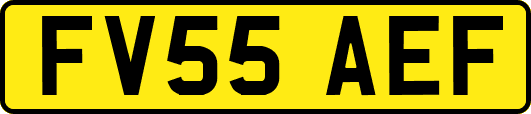 FV55AEF