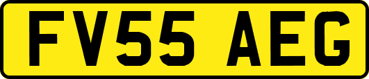 FV55AEG