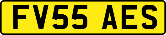 FV55AES
