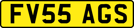 FV55AGS