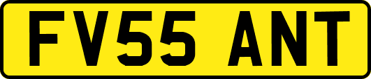 FV55ANT