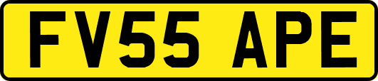 FV55APE