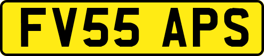 FV55APS