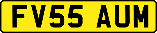 FV55AUM