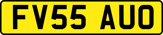 FV55AUO