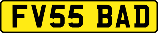 FV55BAD