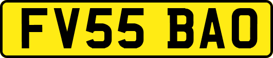 FV55BAO