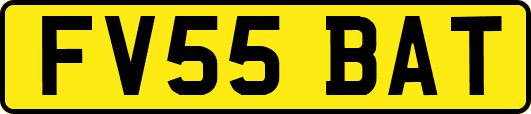 FV55BAT