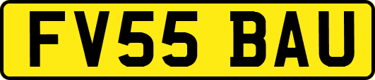 FV55BAU