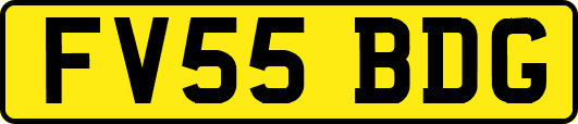 FV55BDG