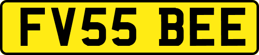 FV55BEE