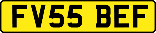 FV55BEF