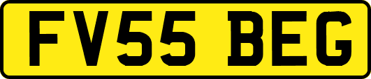 FV55BEG