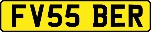 FV55BER