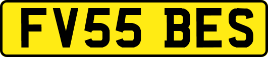 FV55BES