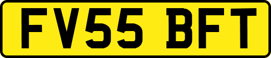 FV55BFT