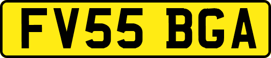 FV55BGA