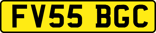 FV55BGC