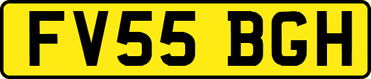 FV55BGH